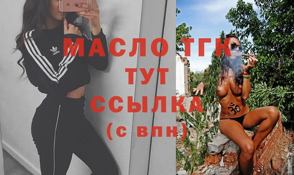 твердый Гусев