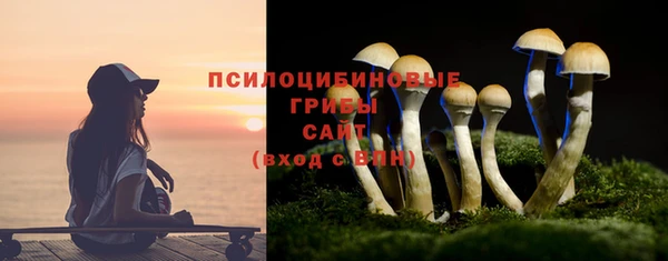а пвп мука Гусь-Хрустальный