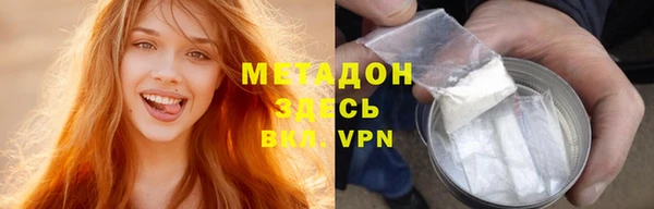 твердый Гусев