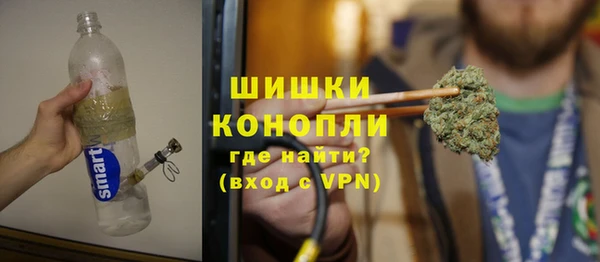 твердый Гусев