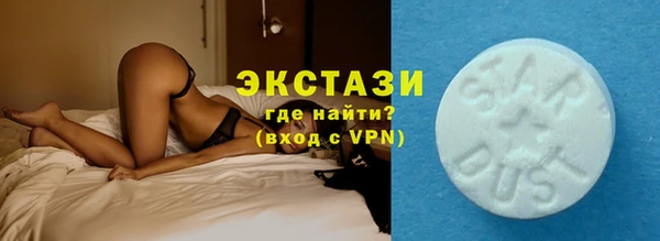 твердый Гусев