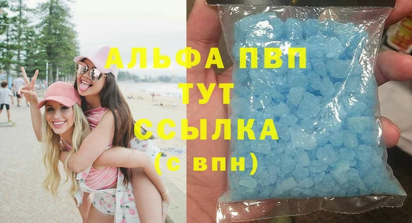 твердый Гусев