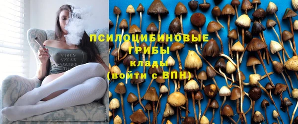 а пвп мука Гусь-Хрустальный