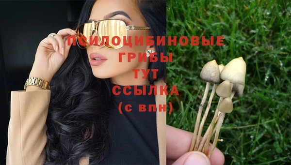 твердый Гусев