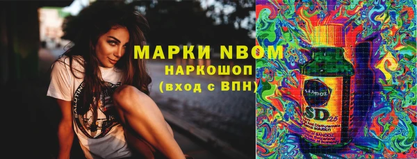 твердый Гусев
