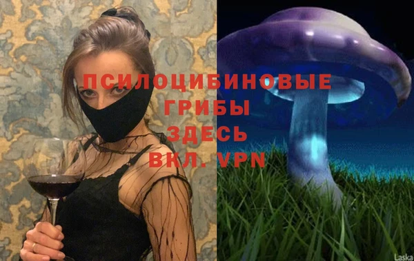 а пвп мука Гусь-Хрустальный