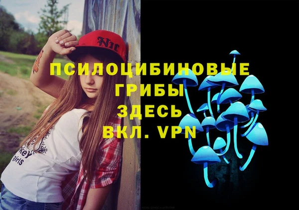 твердый Гусев