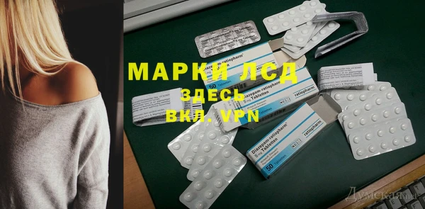 твердый Гусев