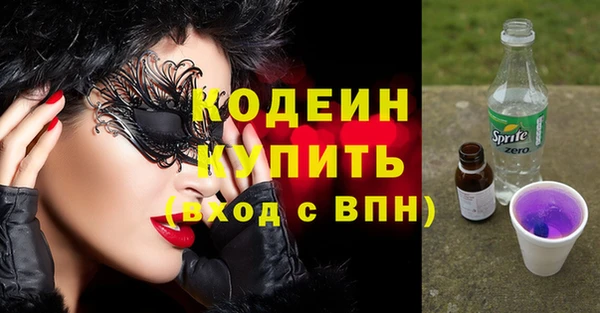 твердый Гусев