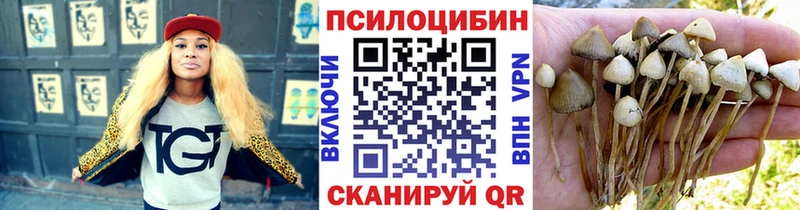 Купить закладки  Будённовск  Галлюциногенные грибы ЛСД 